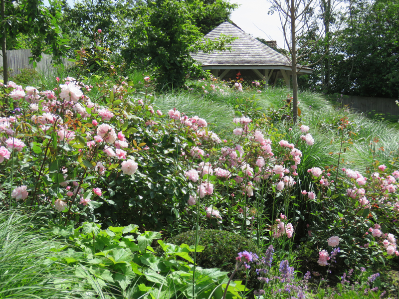 CuckfieldMain Image 13