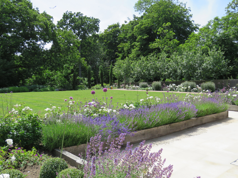 CuckfieldMain Image 14