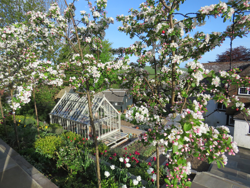 East DeanMain Image 13