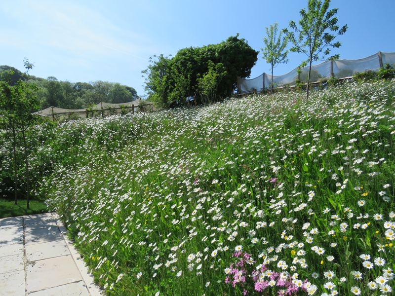 East DeanMain Image 20