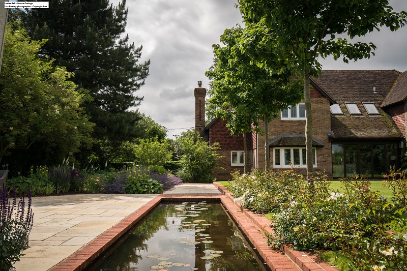 The water rill with white water lilies