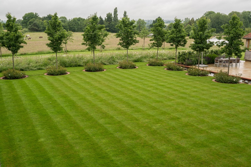 We incorporated the clients pavers into the garden to link back to the house