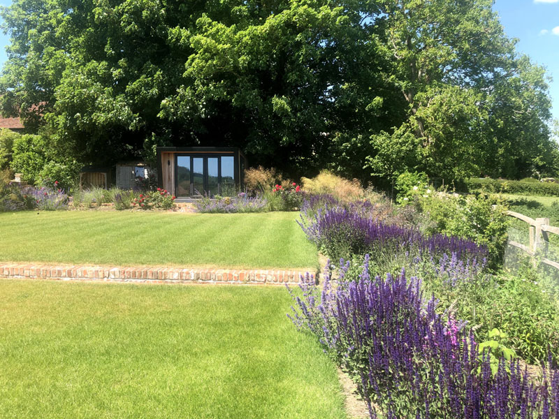 Long border looking towards the office