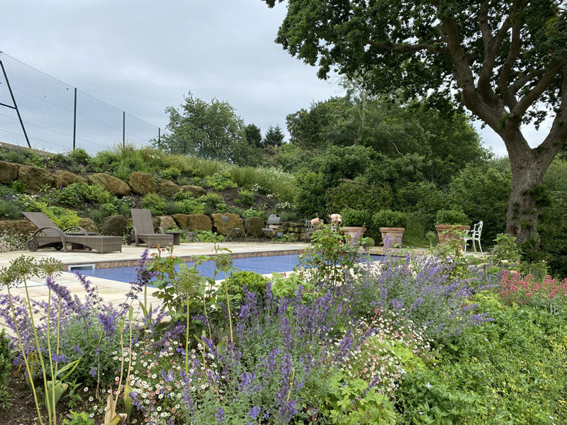 PetworthMain Image 1