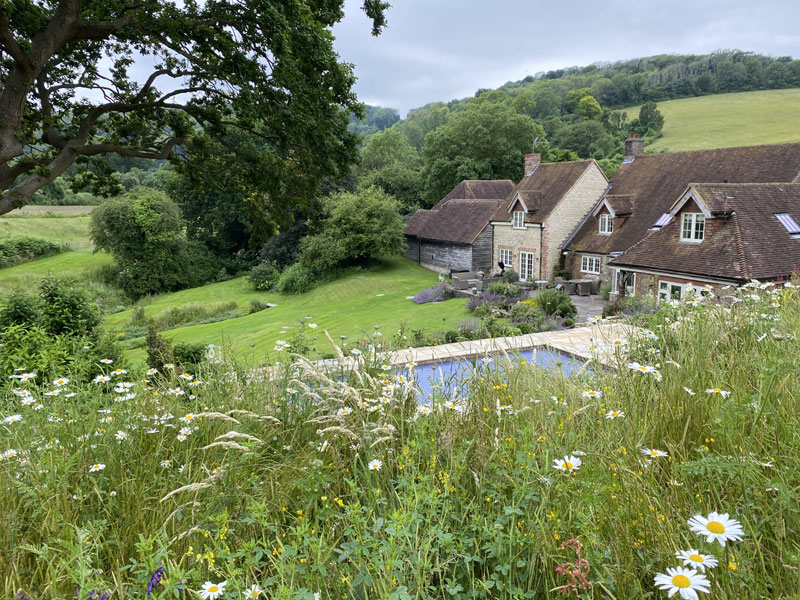 PetworthMain Image 5