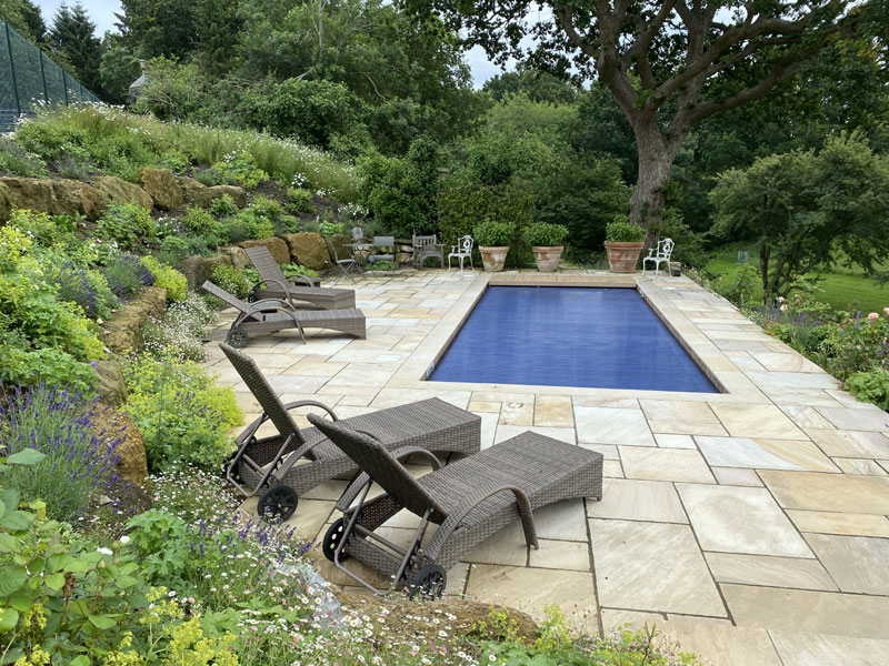 PetworthMain Image 7