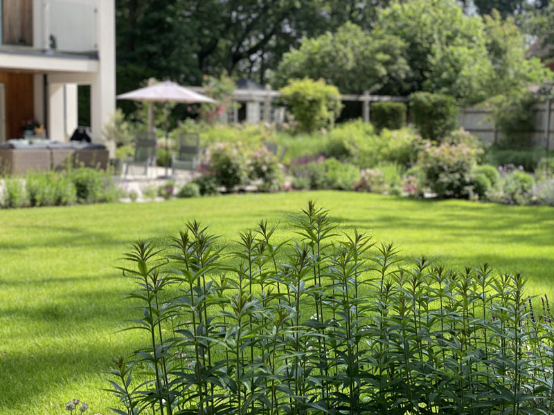 Garden designer Sussex. Herbaceous planting. Garden furniture. Parasol.