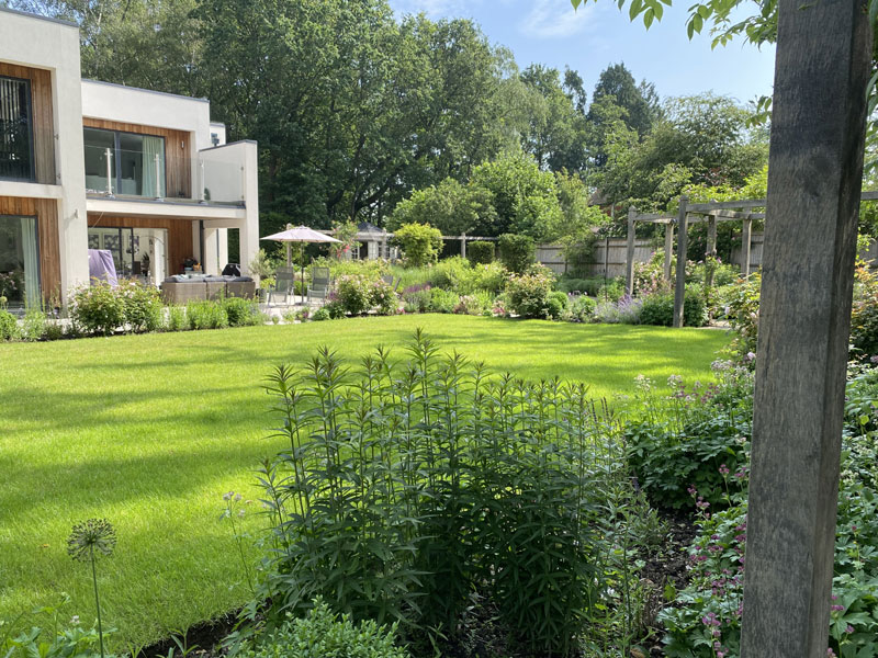 Pergola design. Garden design. Planted borders.