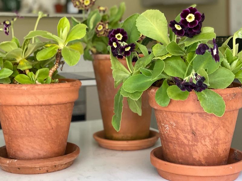 More small spacesMain Image 1