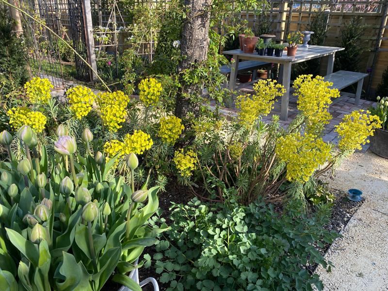 More small spacesMain Image 19