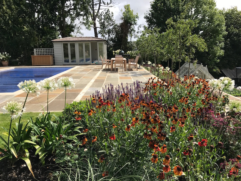 The herbaceous borders in summer with the Malus trees in the long border