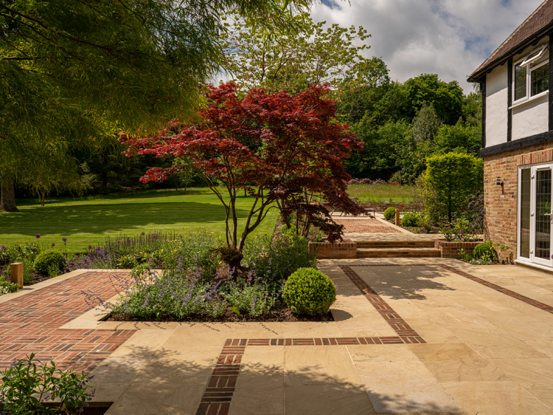 Acer tree and brickwork in paving