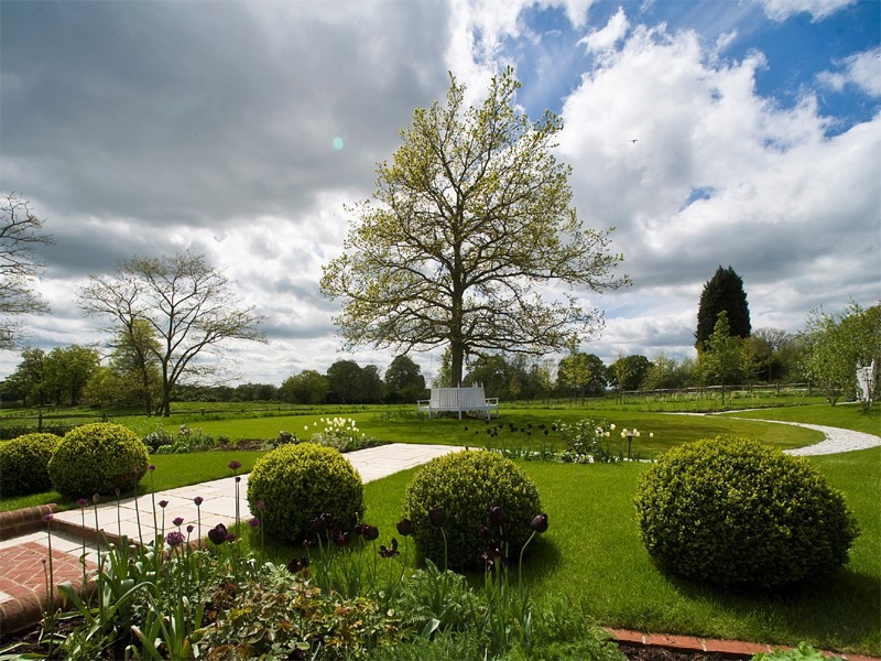 The large oak tree has a bespoke, white wooden seat with 1000 snowdrops beneath