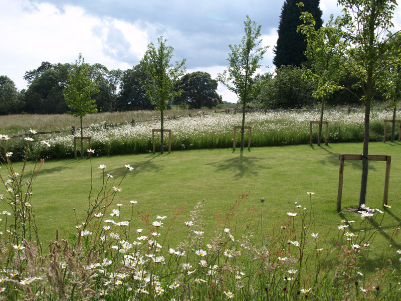 The meadow planting links the garden back to the landscape